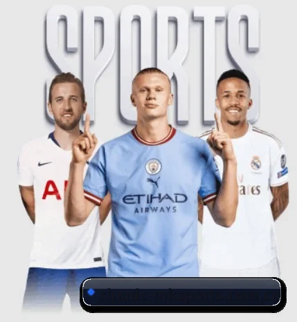 五个功能入口,赛程查询路径更短 - MKSports